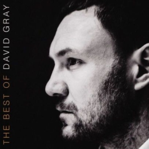 Gray David - Best Of David Gray in der Gruppe Minishops / David Gray bei Bengans Skivbutik AB (3339983)