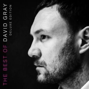 Gray David - Best Of David Gray (+ Bok) in der Gruppe Minishops / David Gray bei Bengans Skivbutik AB (3339984)