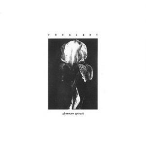 Prurient - Pleasure Ground in der Gruppe VINYL bei Bengans Skivbutik AB (3408555)