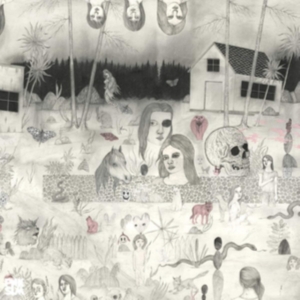 Sudakistan - Swedish Cobra in der Gruppe VINYL / Pop-Rock bei Bengans Skivbutik AB (3439531)