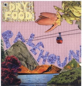 Palehound - Dry Food in der Gruppe Övrigt /  bei Bengans Skivbutik AB (3460730)