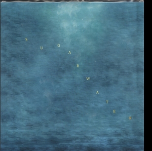 Swings - Sugarwater in der Gruppe Övrigt / bei Bengans Skivbutik AB (3460733)