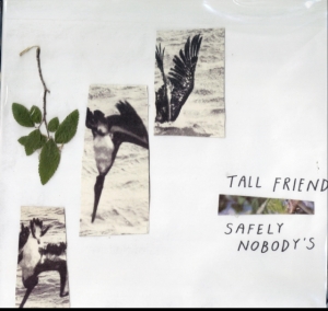 Tall Friend - Safely Nobody's in der Gruppe VINYL bei Bengans Skivbutik AB (3460742)
