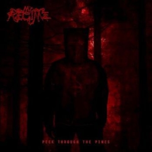 My Regime - Peek Through The Pines in der Gruppe CD bei Bengans Skivbutik AB (3462932)