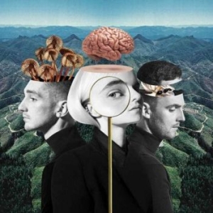 Clean Bandit - What Is Love? in der Gruppe -Start Sell bei Bengans Skivbutik AB (3468691)