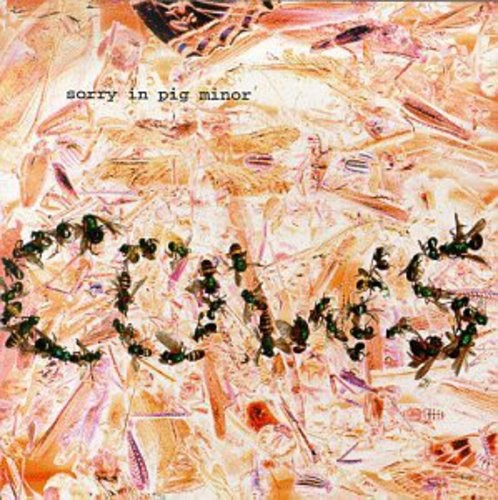 Cows - Sorry In Pig Minor in der Gruppe CD / Rock bei Bengans Skivbutik AB (3471057)