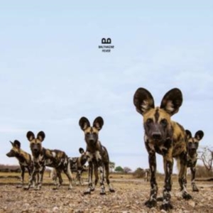 Balthazar - Fever in der Gruppe CD bei Bengans Skivbutik AB (3472352)