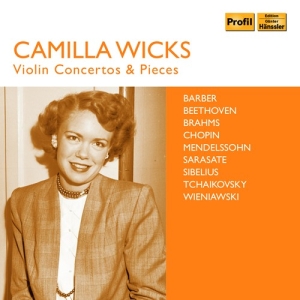 Various - Violin Concertos & Pieces in der Gruppe CD bei Bengans Skivbutik AB (3474108)