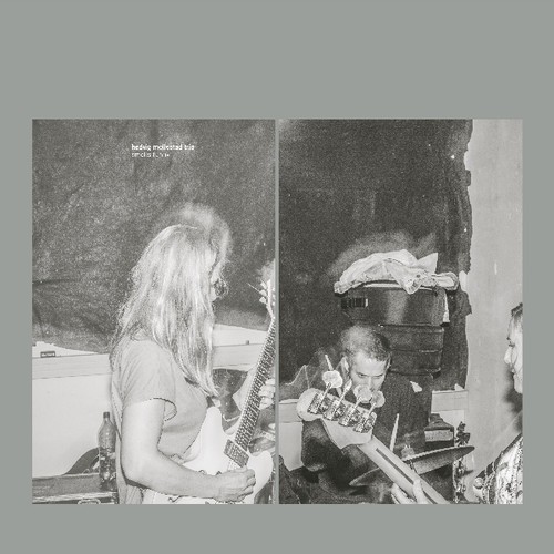 Mollestad Hedvig - Smells Funny in der Gruppe VINYL / Rock bei Bengans Skivbutik AB (3474577)