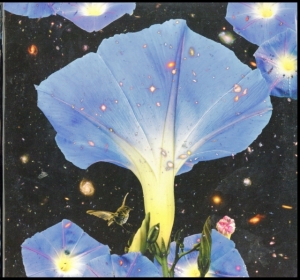 Louise Sarah - Nighttime Birds And Morning Stars in der Gruppe VINYL bei Bengans Skivbutik AB (3476066)