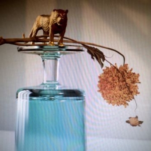 Beirut - Gallipoli in der Gruppe CD bei Bengans Skivbutik AB (3477818)