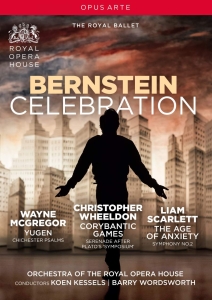 Bernstein Leonard - Bernstein Celebration (Dvd) in der Gruppe DVD & BLU-RAY bei Bengans Skivbutik AB (3484719)