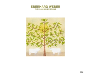 Weber Ebarhard - The Following Morning in der Gruppe CD bei Bengans Skivbutik AB (3486072)