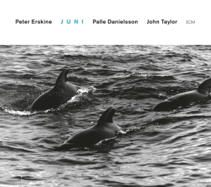 Erskine Peter - Juni in der Gruppe UNSERE TIPPS / Klassiska lablar / ECM Records bei Bengans Skivbutik AB (3486092)