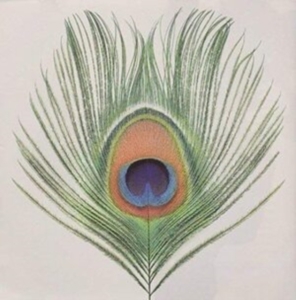 Xtc - Apple Venus Vol. 1 in der Gruppe CD bei Bengans Skivbutik AB (3486567)