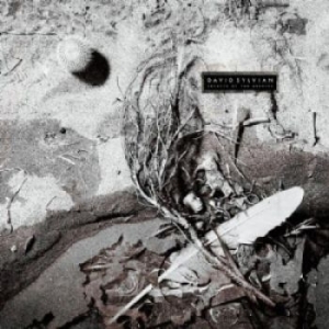 David Sylvian - Secrets Of The Beehive (Vinyl) in der Gruppe VINYL bei Bengans Skivbutik AB (3489421)