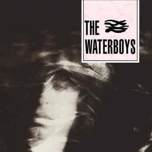 The Waterboys - Waterboys in der Gruppe Minishops / Waterboys bei Bengans Skivbutik AB (3489861)