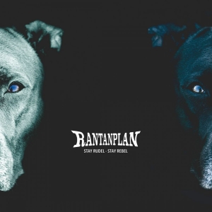 Rantanplan - Stay Rudel - Stay Rebel (Clear Blue in der Gruppe VINYL bei Bengans Skivbutik AB (3494234)