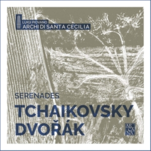 Dvorák Antonín Tchaikovsky Pyotr - Sérénades in der Gruppe CD bei Bengans Skivbutik AB (3494665)