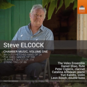 Elcock Steve - Chamber Music, Vol. 1 in der Gruppe CD bei Bengans Skivbutik AB (3494709)