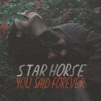 STAR HORSE - YOU SAID FOREVER in der Gruppe VINYL bei Bengans Skivbutik AB (3495817)