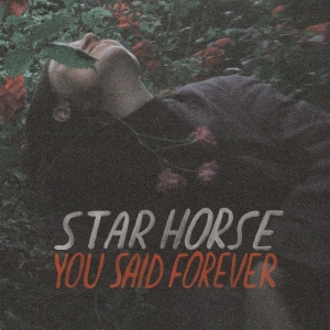 Star Horse - You Said Forever in der Gruppe VINYL bei Bengans Skivbutik AB (3495817)