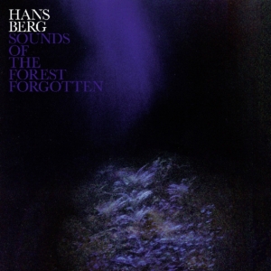 Berg Hans - Sounds Of The Forest Forgotten in der Gruppe VINYL bei Bengans Skivbutik AB (3496070)