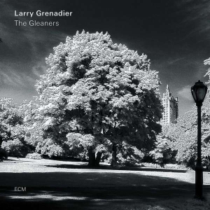 Grenadier Larry - The Gleaners (Lp) in der Gruppe VINYL bei Bengans Skivbutik AB (3496602)