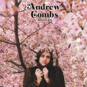Combs Andrew - Worried Man in der Gruppe CD bei Bengans Skivbutik AB (3496844)