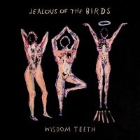 Jealous Of The Birds - Wisdom Teeth in der Gruppe VINYL bei Bengans Skivbutik AB (3498256)