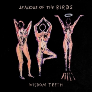 Jealous Of The Birds - Wisdom Teeth in der Gruppe CD bei Bengans Skivbutik AB (3498257)