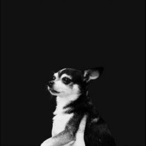 And The Kids - When This Life Is Over in der Gruppe CD bei Bengans Skivbutik AB (3503943)