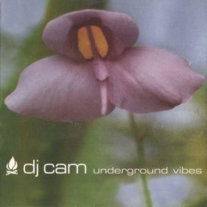 Dj Cam - Underground Vibes in der Gruppe VINYL bei Bengans Skivbutik AB (3505432)