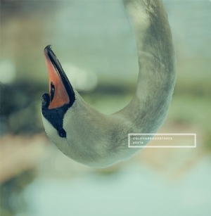 Coldharbourstores - Vesta in der Gruppe VINYL bei Bengans Skivbutik AB (3505457)