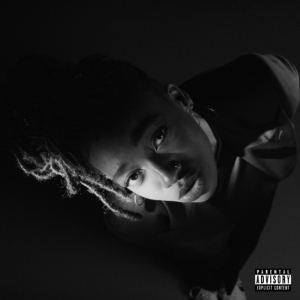 Little Simz - Grey Area in der Gruppe UNSERE TIPPS / Årsbästalistor 2019 / Årsbästa 2019 NME bei Bengans Skivbutik AB (3505479)