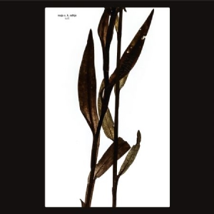 Ratkje Maja - Sult in der Gruppe VINYL bei Bengans Skivbutik AB (3505489)