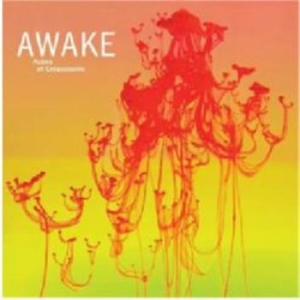 Awake - Aubes Et Crepuscules in der Gruppe CD bei Bengans Skivbutik AB (3509661)