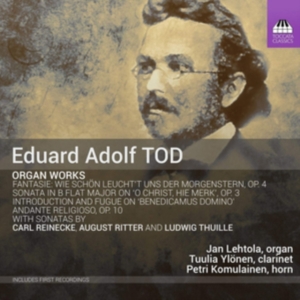 Tod E A Reinecke Carl Ritter A - Organ Works in der Gruppe CD / Klassiskt bei Bengans Skivbutik AB (3509783)