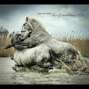 Over The Rhine - Love & Revelation in der Gruppe CD bei Bengans Skivbutik AB (3510710)