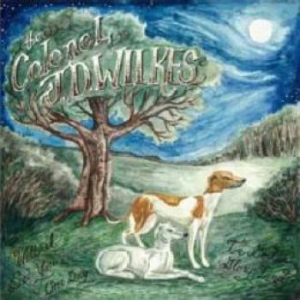 Wilkes Col Jd - Will I See You Again In God's Glory in der Gruppe VINYL bei Bengans Skivbutik AB (3510735)