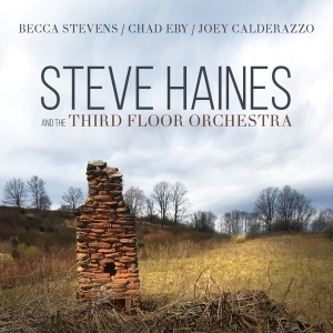 Steve Haines And The Third Flo - Steve Haines And The Third Floor Orchestra in der Gruppe CD bei Bengans Skivbutik AB (3510922)