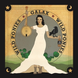 Wild Ponies - Galax in der Gruppe CD bei Bengans Skivbutik AB (3511915)