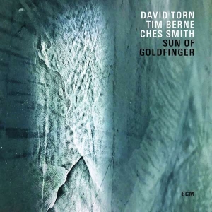 Torn David - Sun Of Goldfinger in der Gruppe Externt_Lager / Naxoslager bei Bengans Skivbutik AB (3512312)