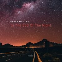 Berg Oddgeir (Trio) - In The End Of The Night in der Gruppe CD bei Bengans Skivbutik AB (3515001)