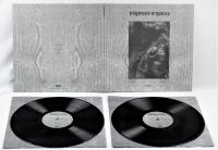 Paysage D'hiver - Steineiche (2 Lp Vinyl) in der Gruppe VINYL bei Bengans Skivbutik AB (3519921)