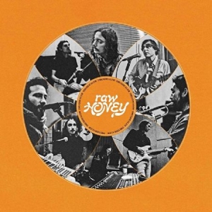 Drugdealer - Raw Honey in der Gruppe VINYL bei Bengans Skivbutik AB (3519969)