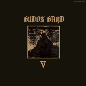 Budos Band - V in der Gruppe VINYL bei Bengans Skivbutik AB (3519996)