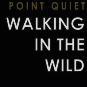 Point Quiet - Walking In The Wind in der Gruppe CD bei Bengans Skivbutik AB (3522498)