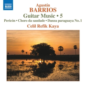 Barrios Agustin - Guitar Music, Vol. 5 in der Gruppe CD bei Bengans Skivbutik AB (3528014)