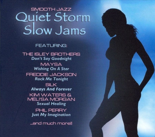 Various Artists - Quiet Storm Slow Jams in der Gruppe CD / Bestseller bei Bengans Skivbutik AB (3529599)